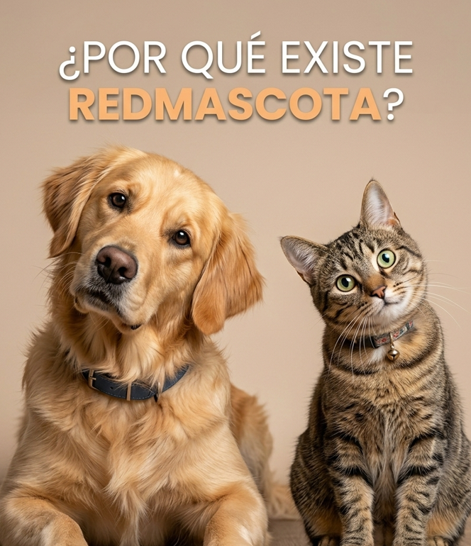 Comunidad RedMascota