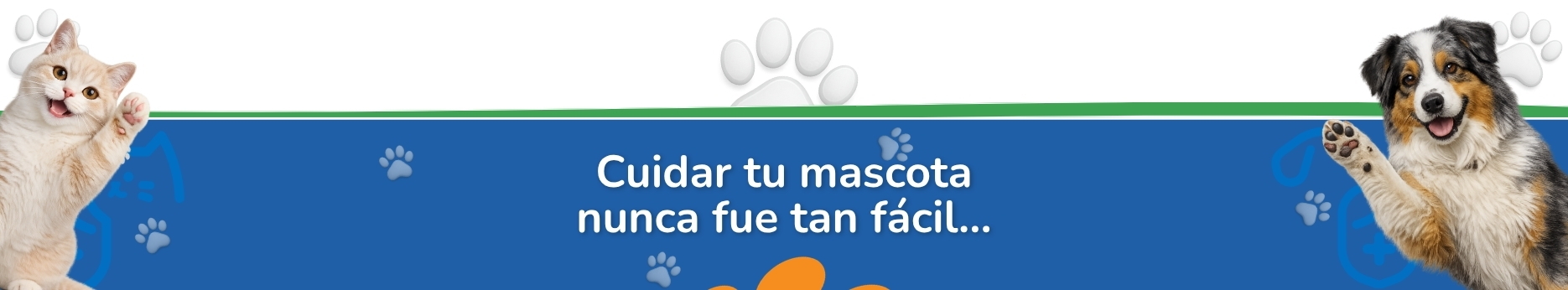 Prestadores aliados