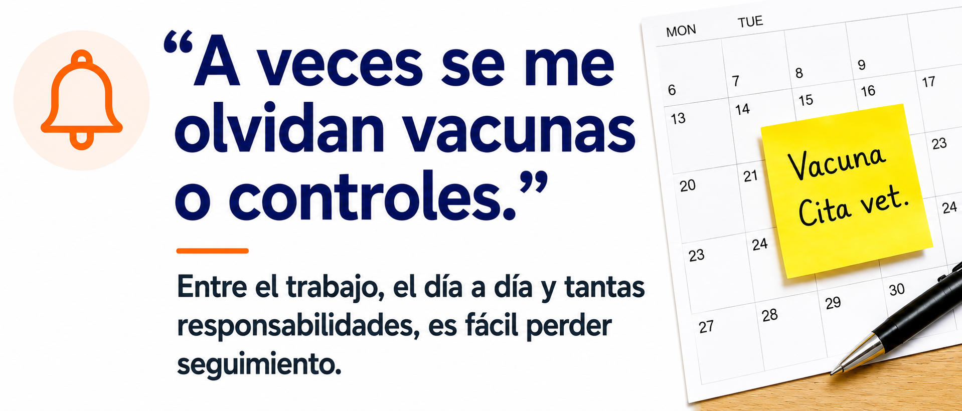 Alimentación Premium