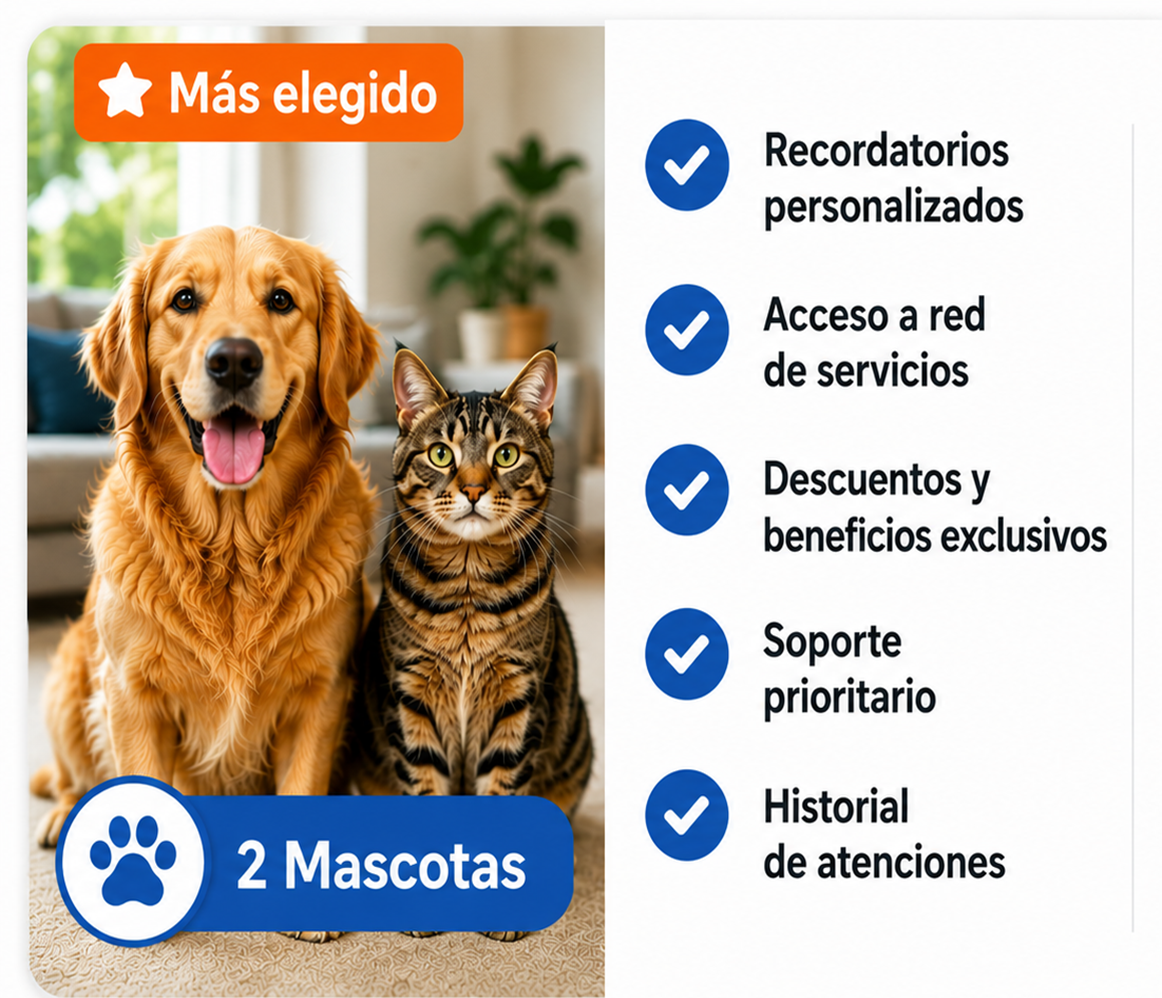 Plan 2 Mascotas